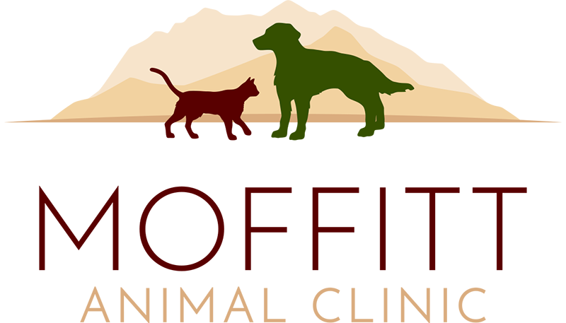 Moffitt Animal Clinic