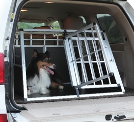 Pet safely secured during car travel